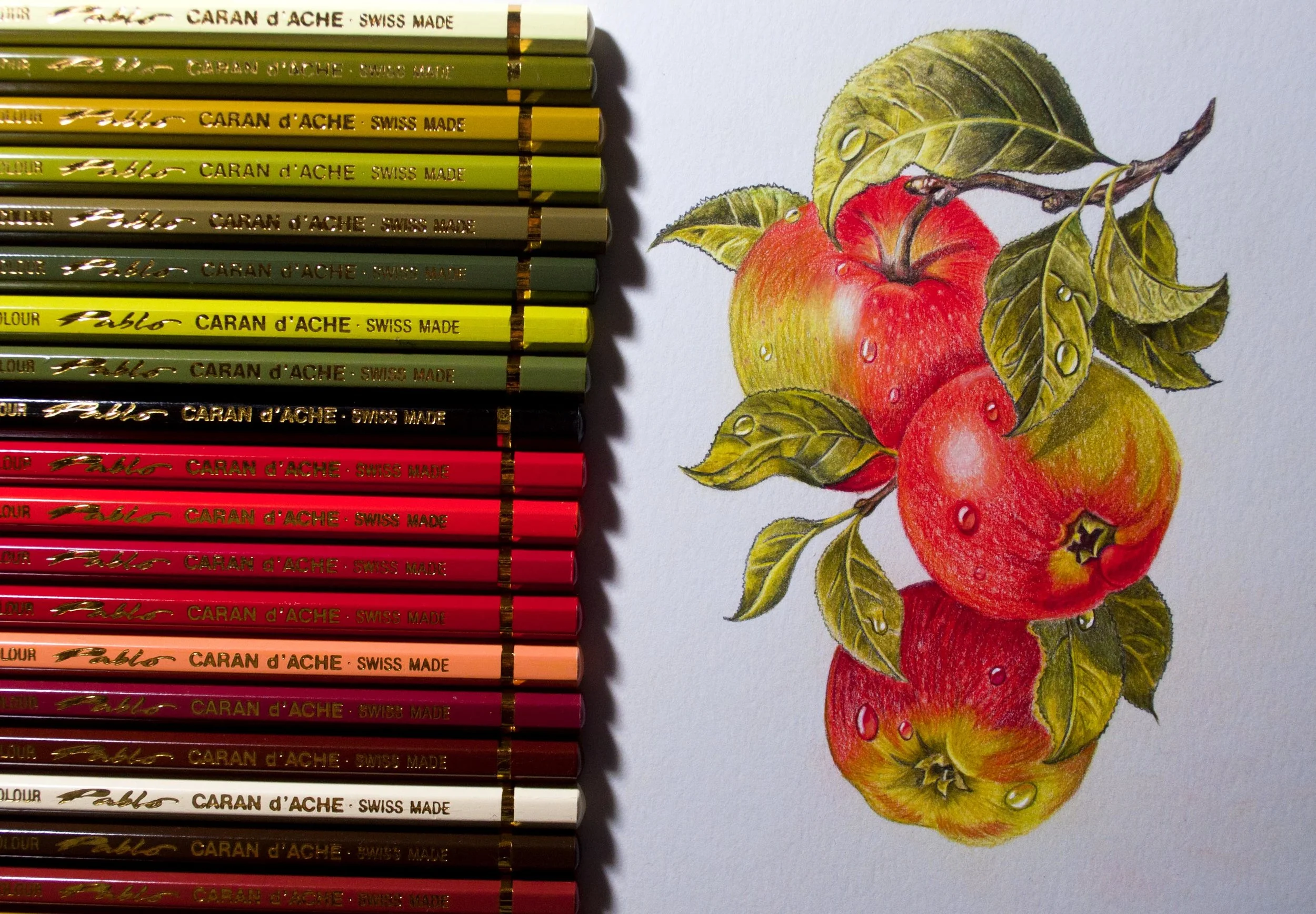 Caran d'Ache Pablo Apple Drawing — The Art Gear Guide
